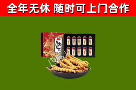 曾都区回收冬虫夏草价格