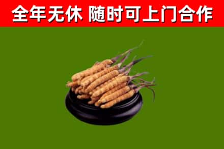 曾都区烟酒回收冬虫夏草.jpg