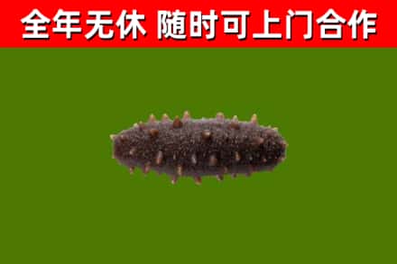 曾都区烟酒回收干海参.jpg